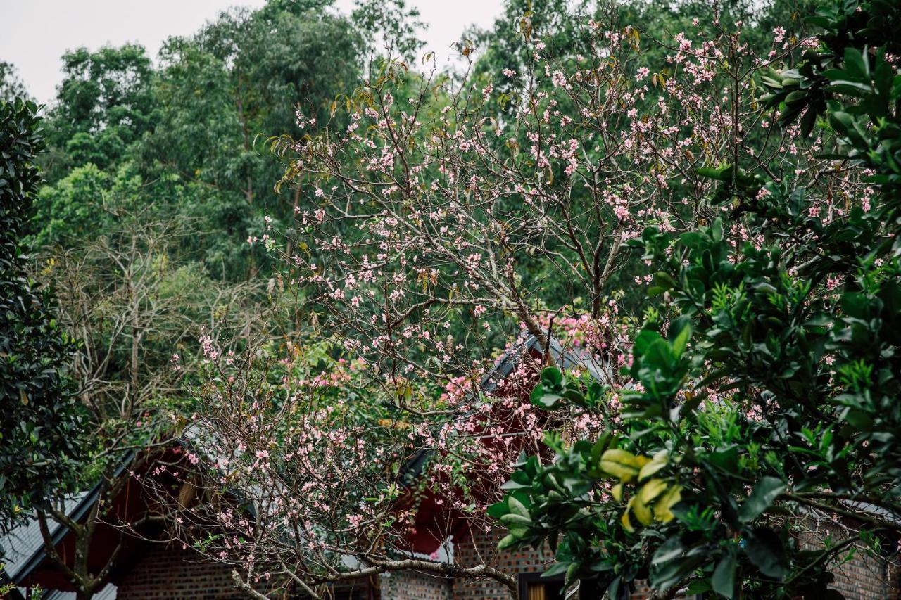 Cat Ba Spring Garden Homestay Hien Hao Dış mekan fotoğraf